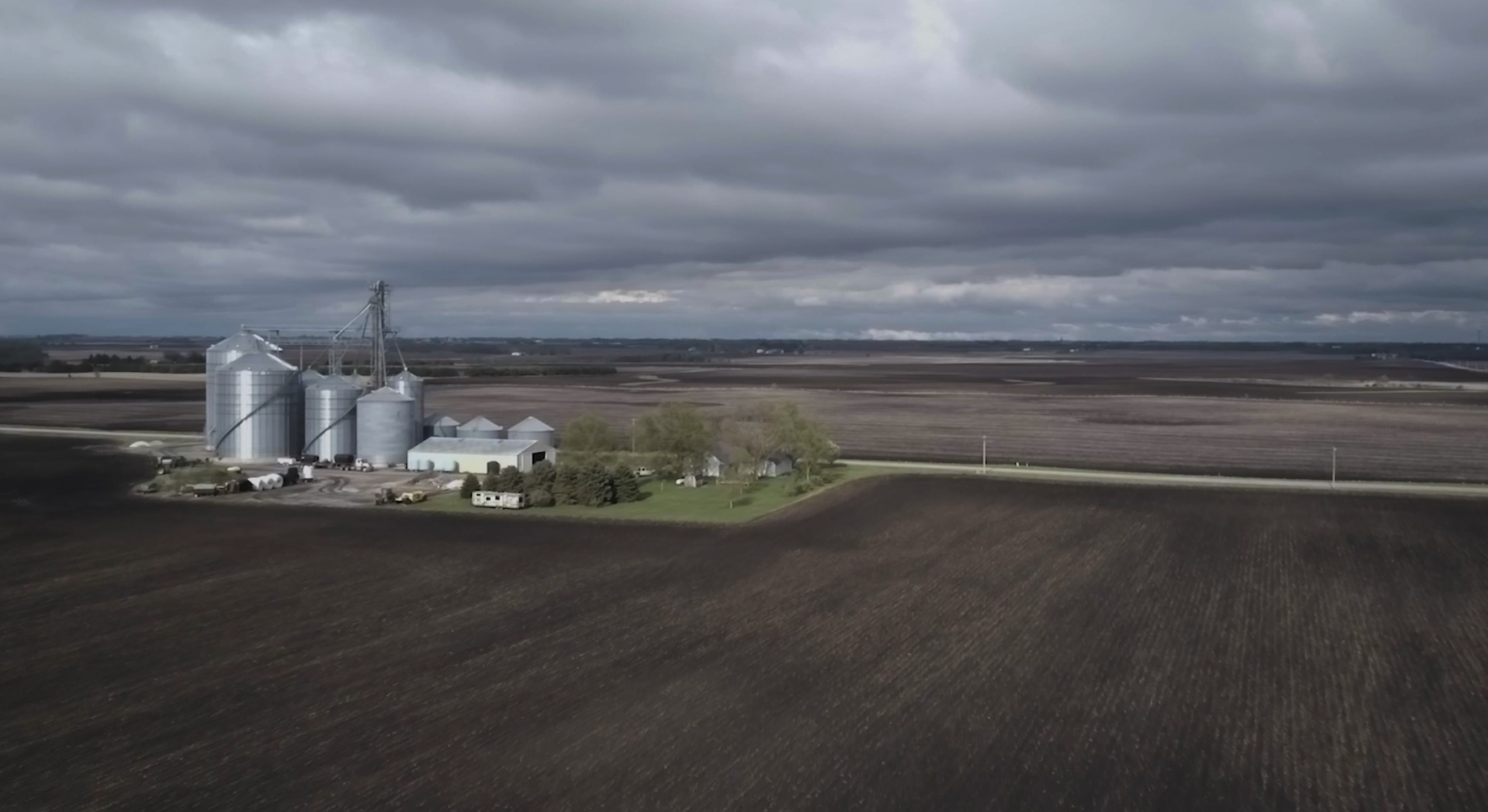 Secret Recordings Capture the Ugly Reality Inside a Denver Slaughterhouse 1